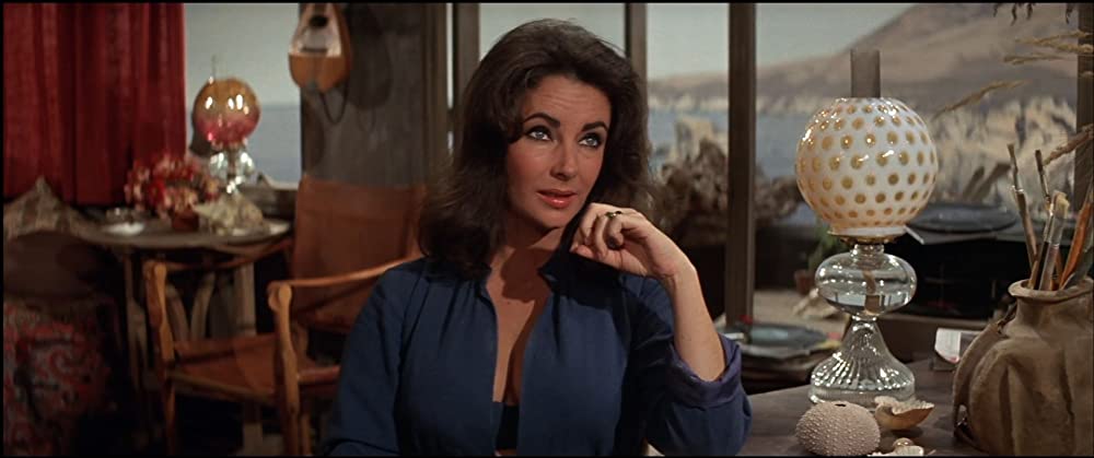 いそしぎの画像