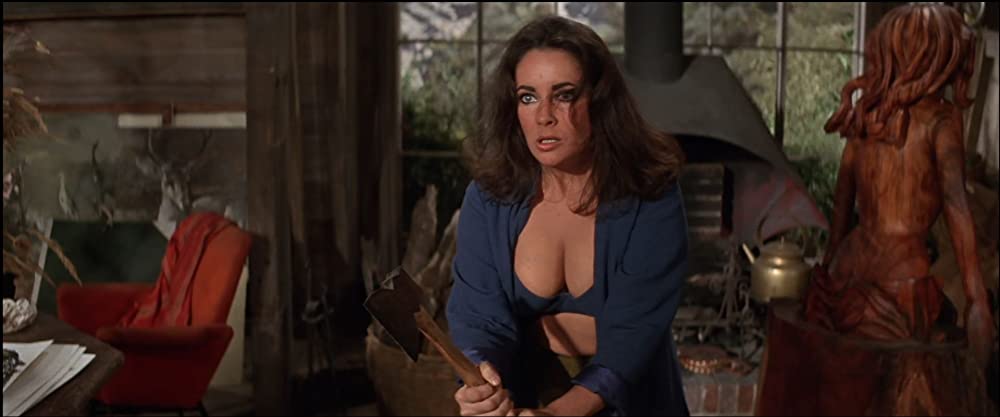 いそしぎの画像