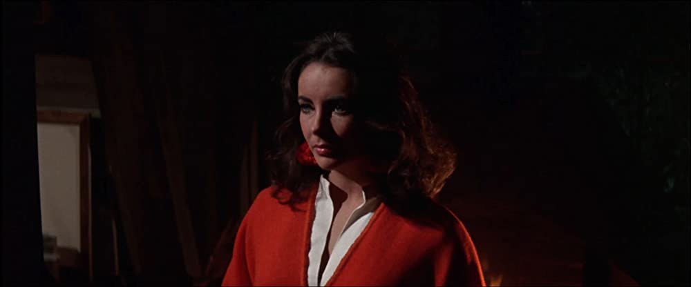 いそしぎの画像