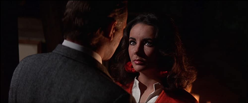 いそしぎの画像