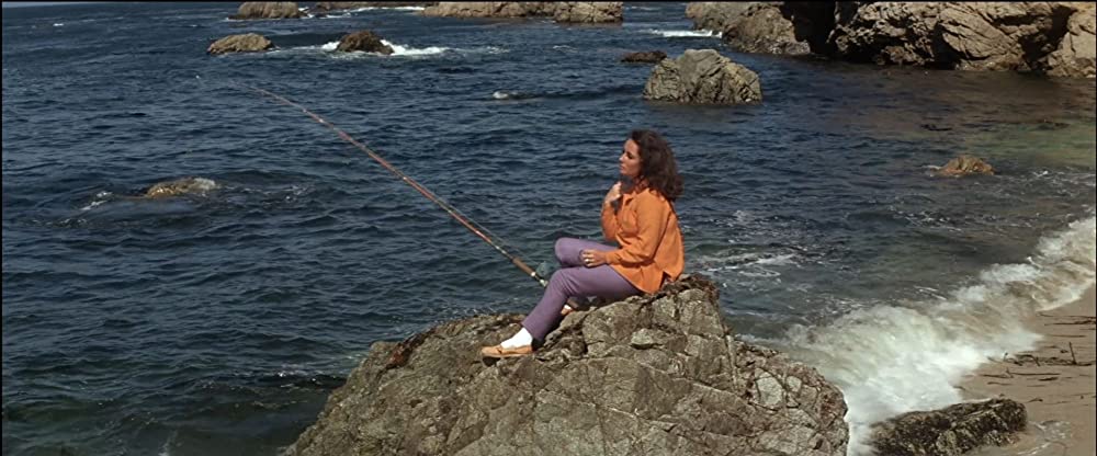 いそしぎの画像