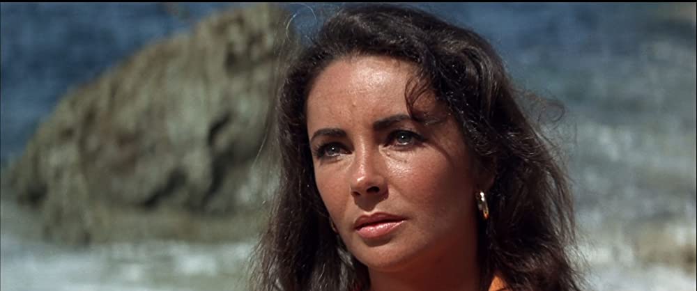 いそしぎの画像