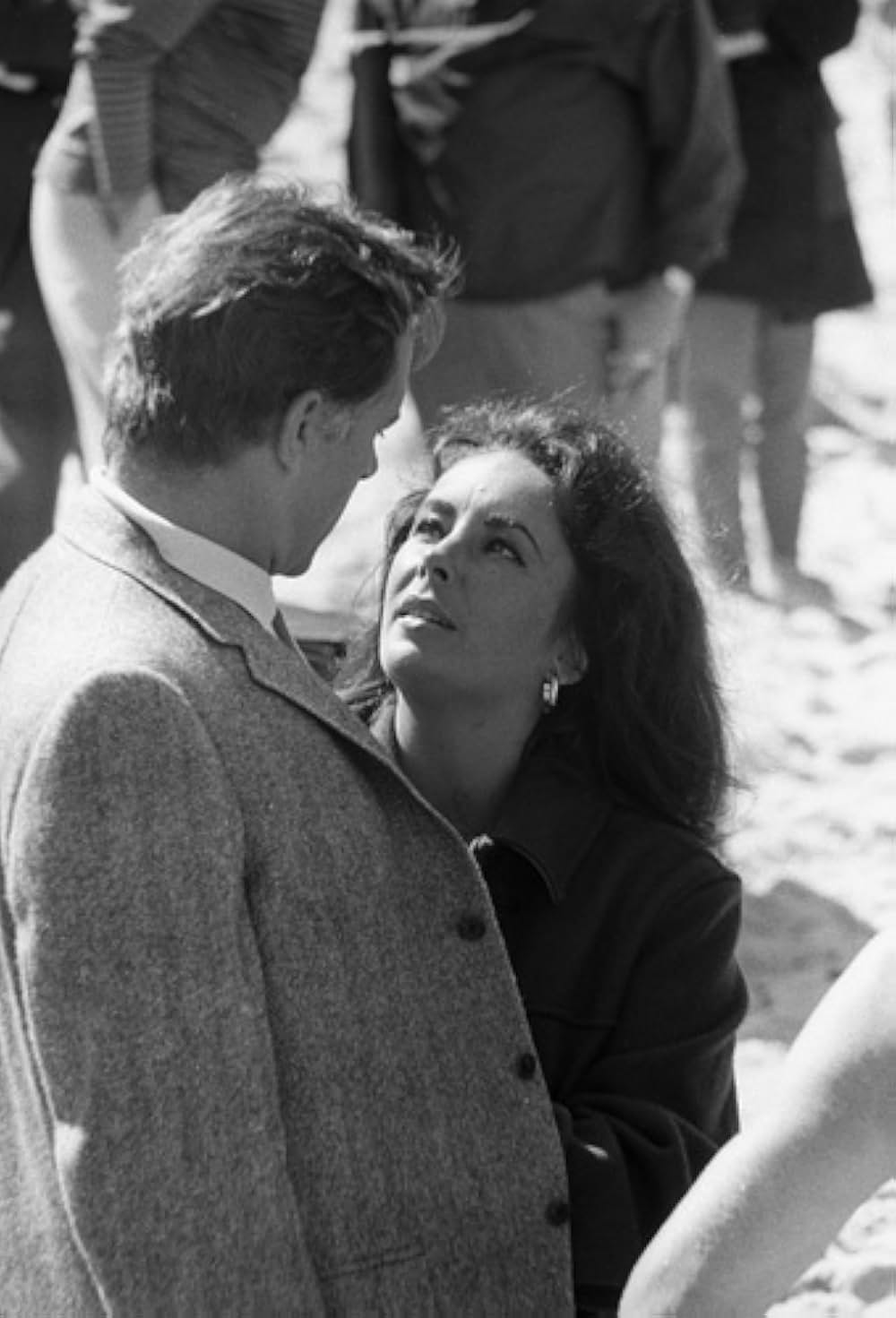 いそしぎの画像