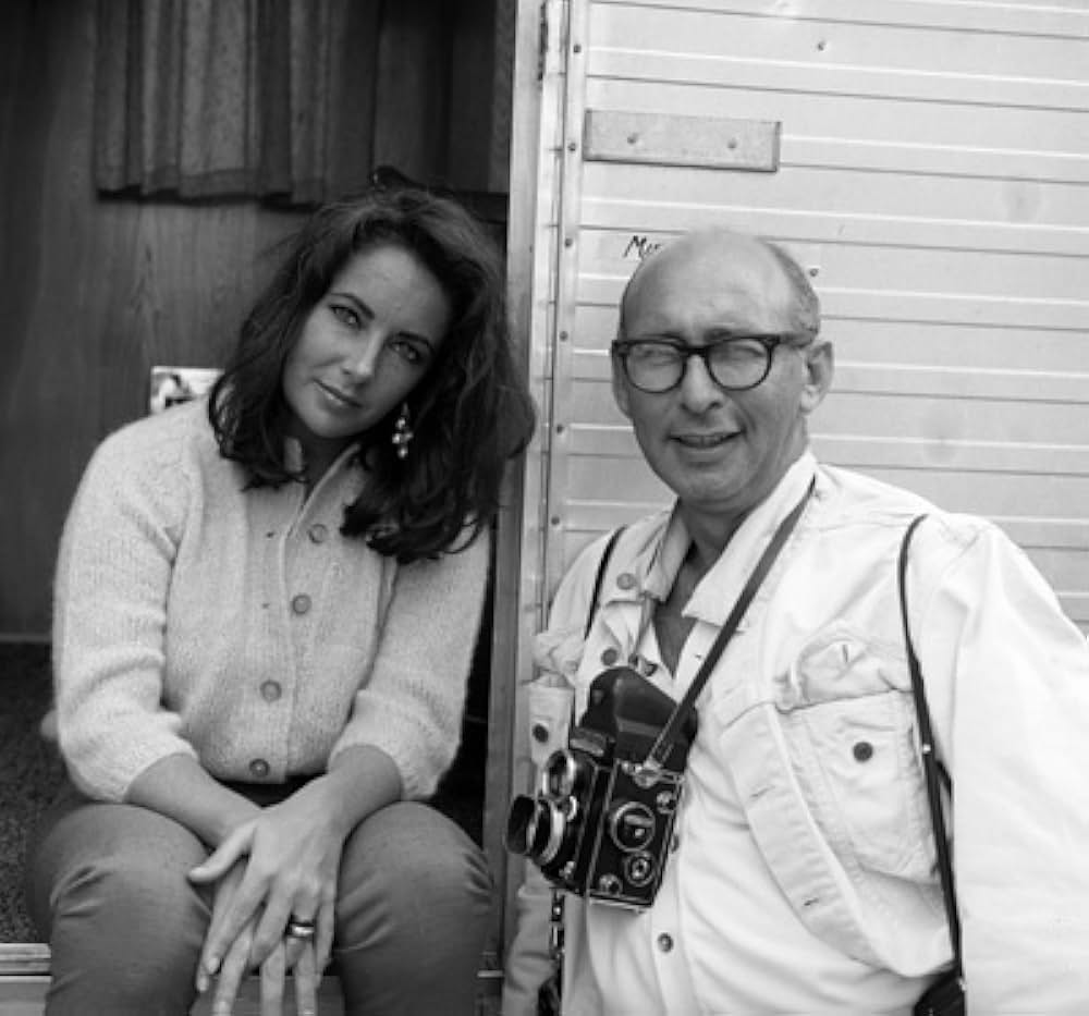 いそしぎの画像