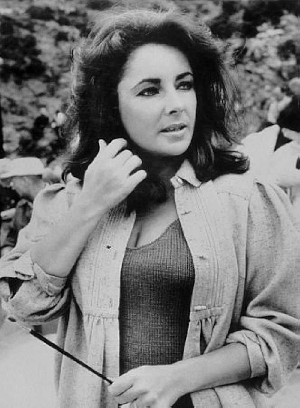 いそしぎの画像