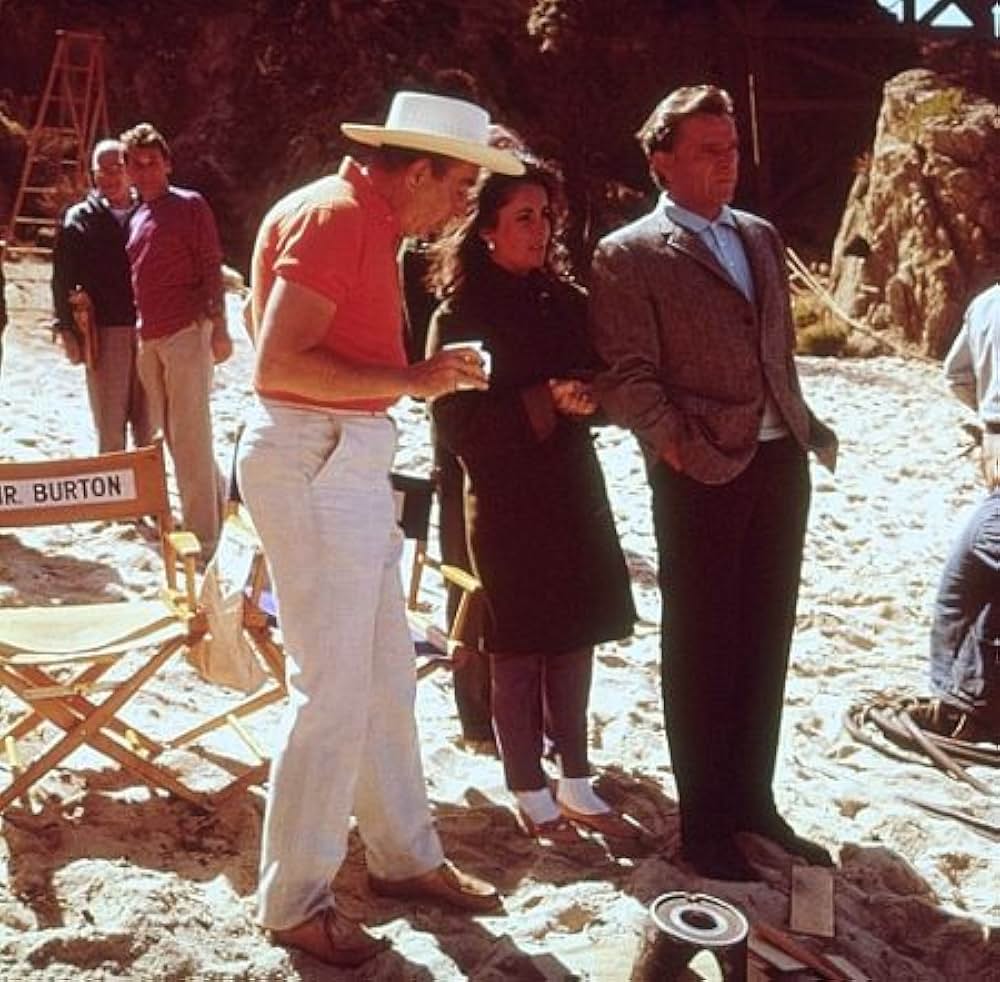 いそしぎの画像