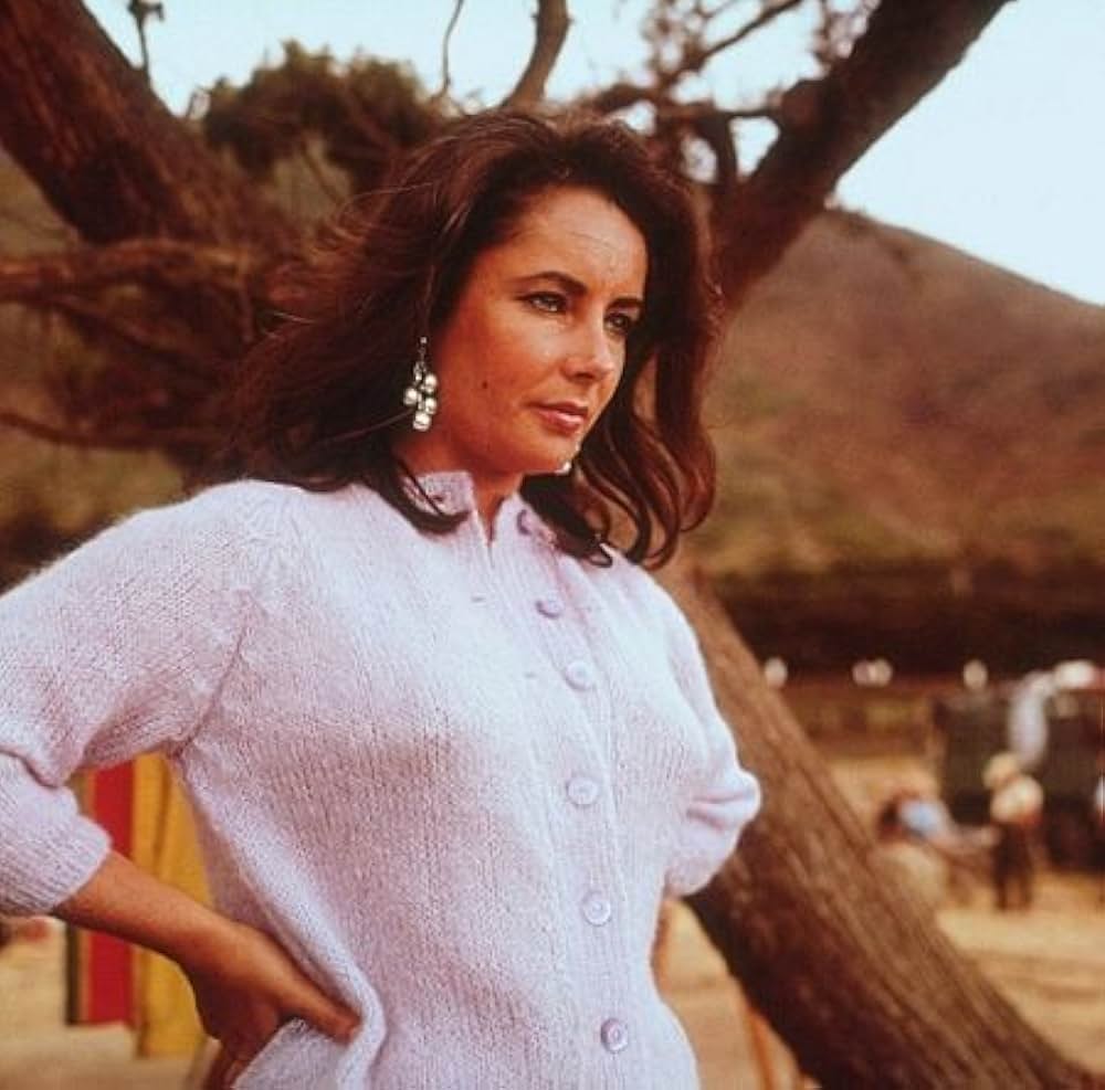 いそしぎの画像