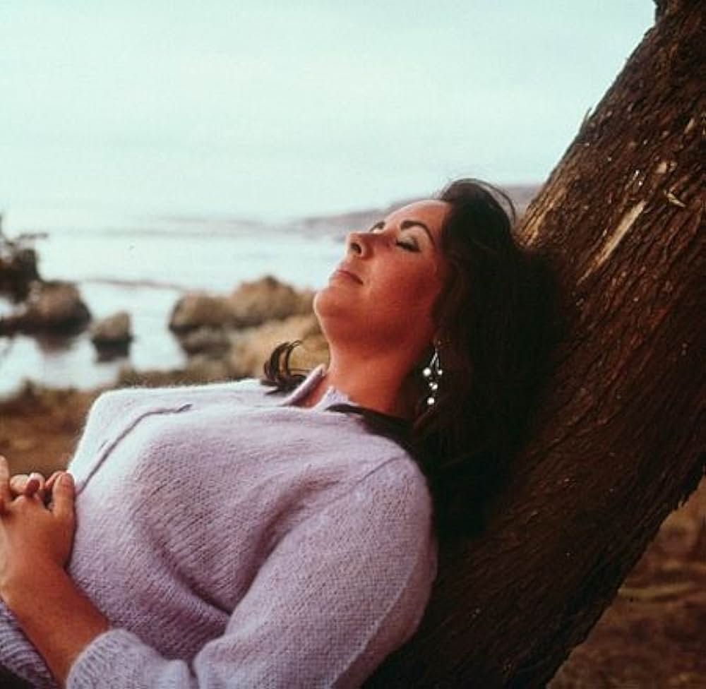 いそしぎの画像