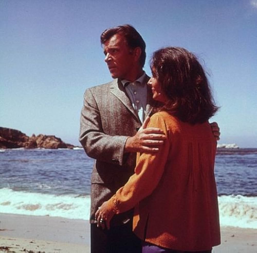 いそしぎの画像