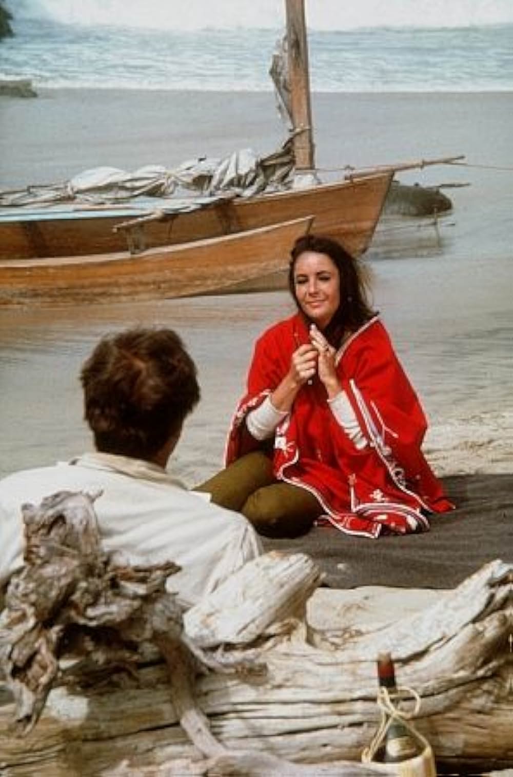 いそしぎの画像