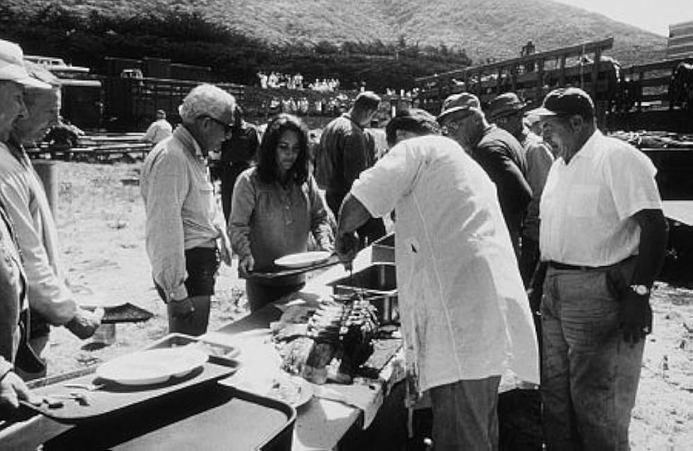 いそしぎの画像