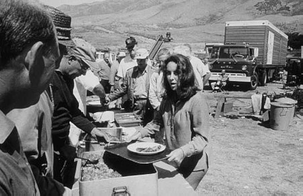 いそしぎの画像