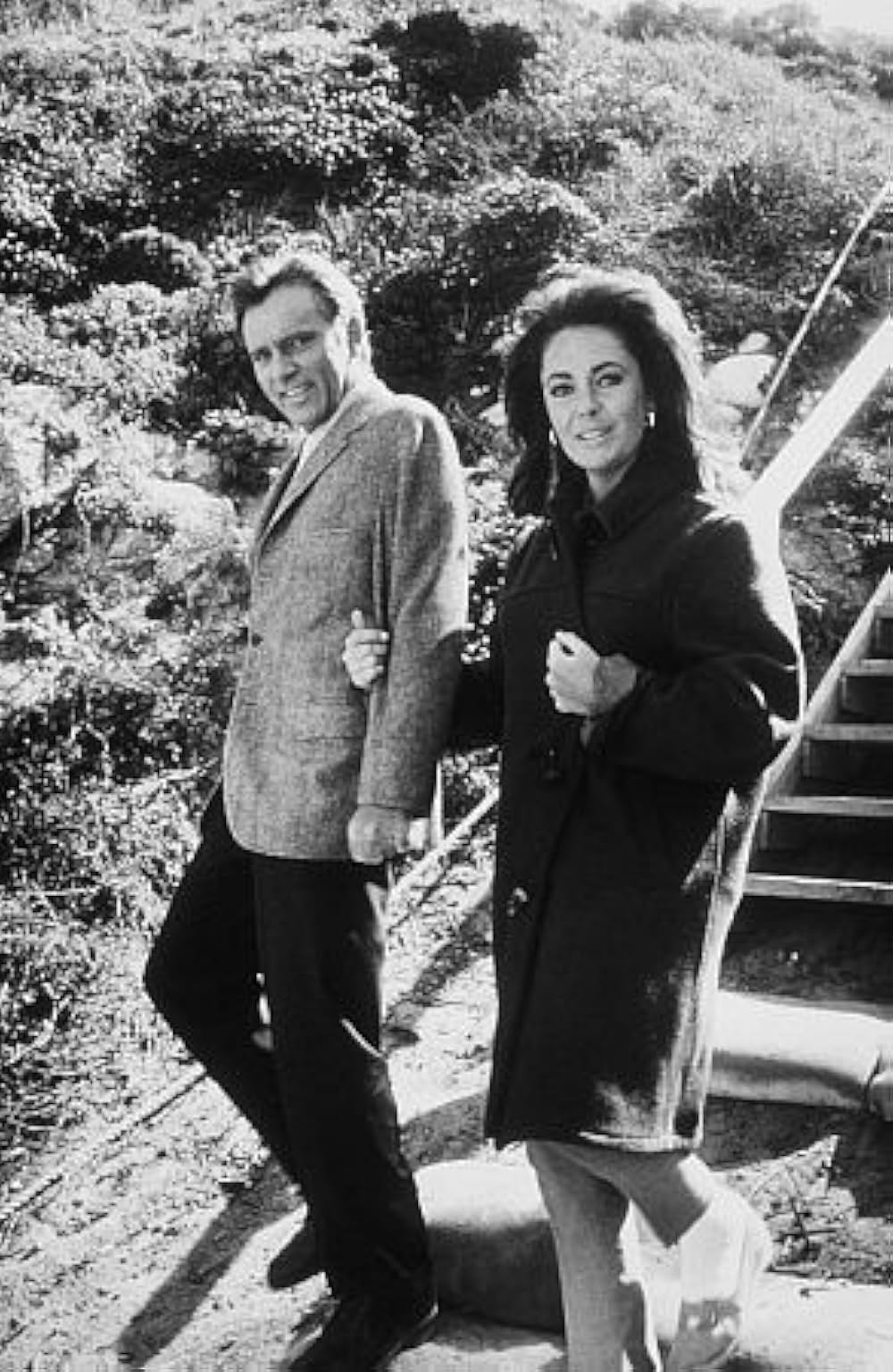 いそしぎの画像