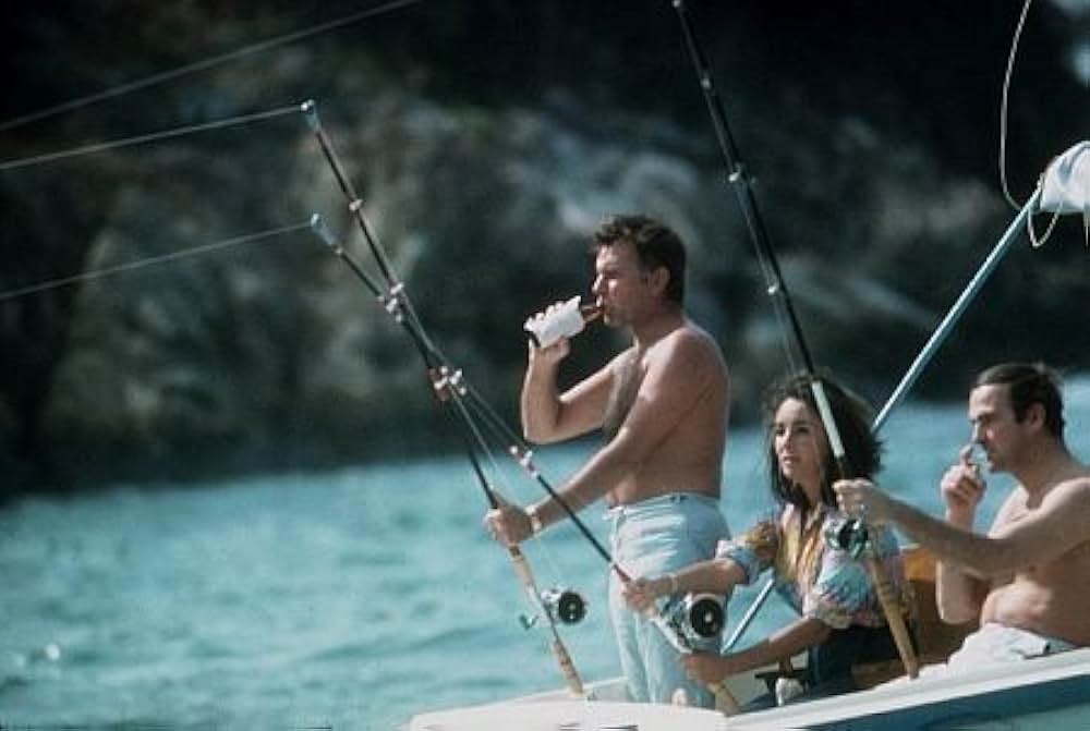 いそしぎの画像