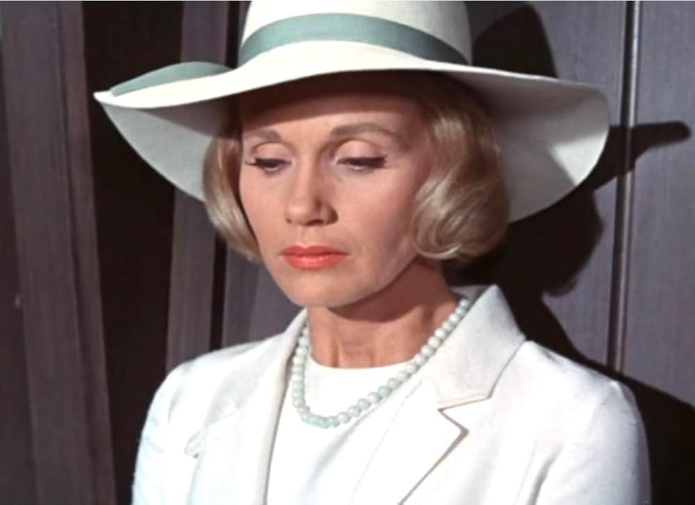 いそしぎの画像