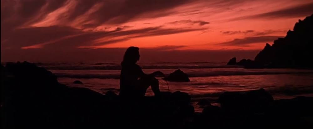 「いそしぎ」の画像