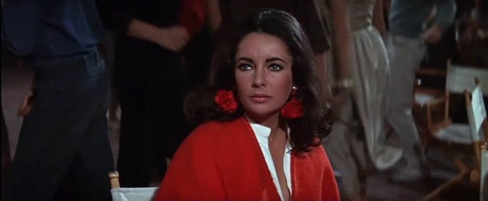 「いそしぎ」の画像