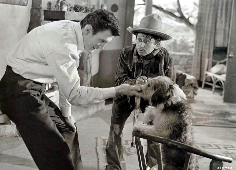 俺が犯人（ホシ）だ！の画像