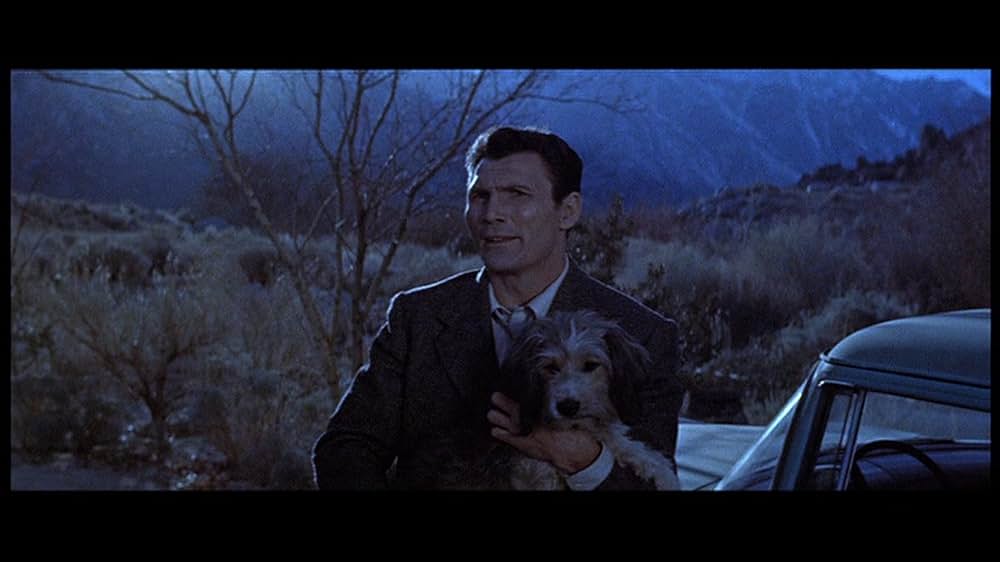 俺が犯人（ホシ）だ！の画像