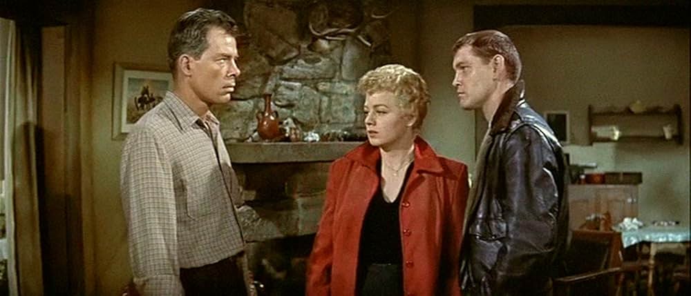 俺が犯人（ホシ）だ！の画像