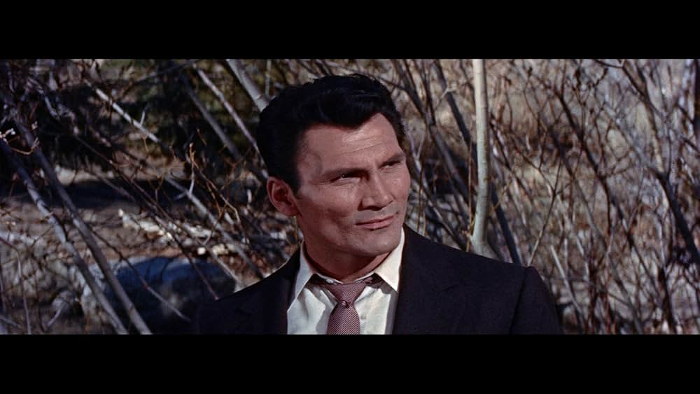 俺が犯人（ホシ）だ！の画像