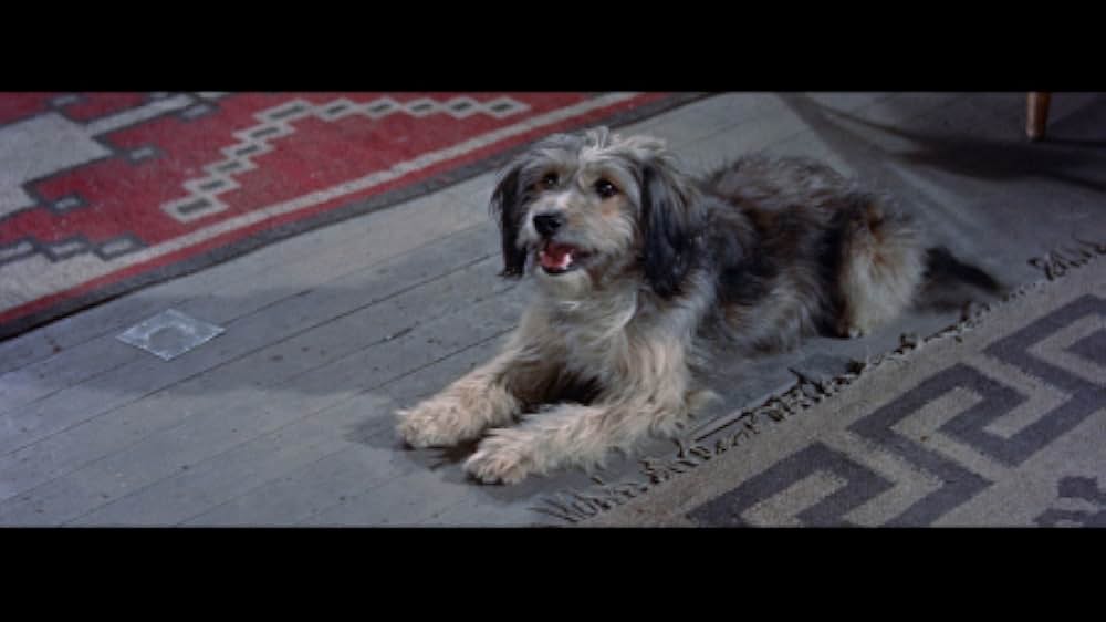 俺が犯人（ホシ）だ！の画像