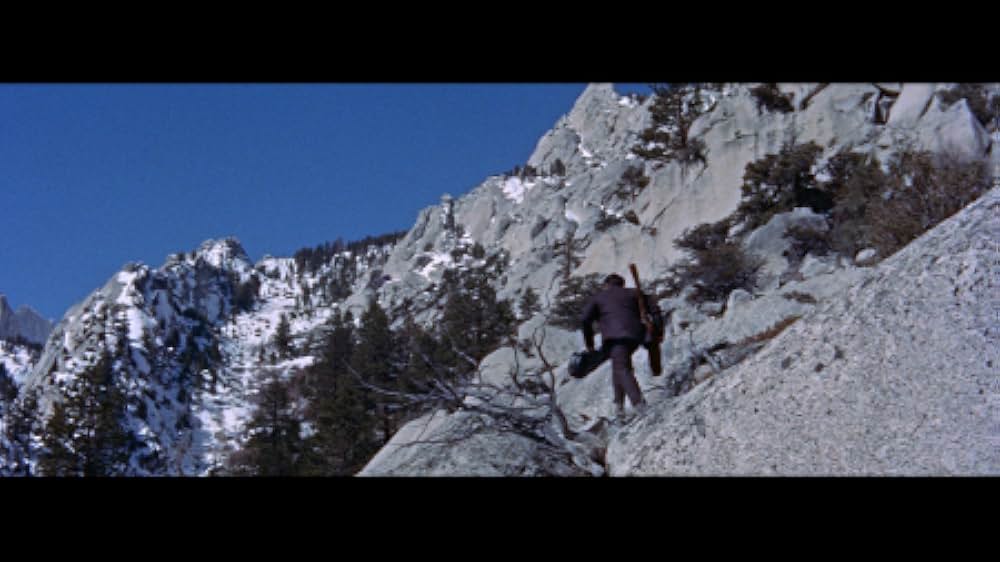 俺が犯人（ホシ）だ！の写真