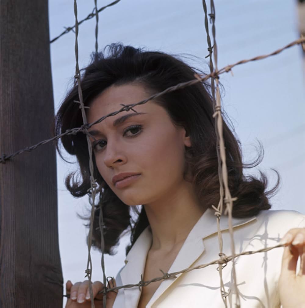 脱走特急の画像