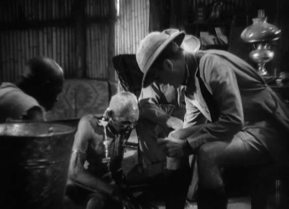 類猿人ターザンの画像