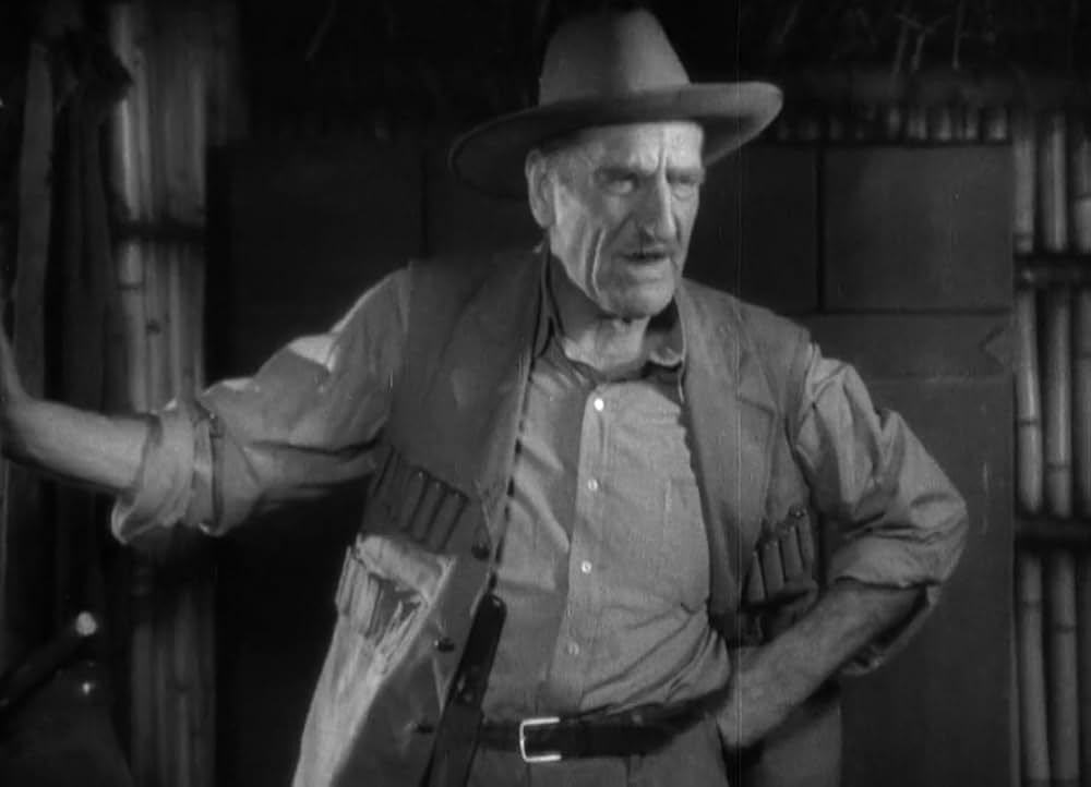 類猿人ターザンの画像