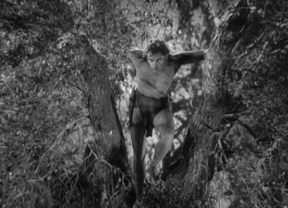 類猿人ターザンの画像