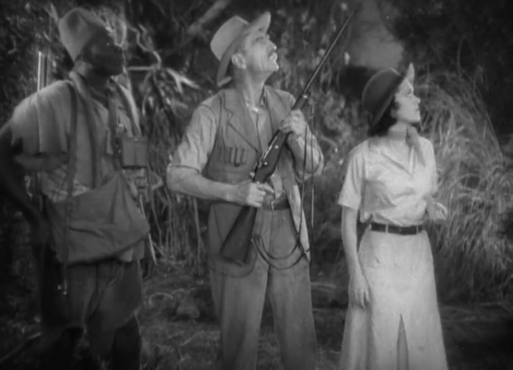 類猿人ターザンの画像