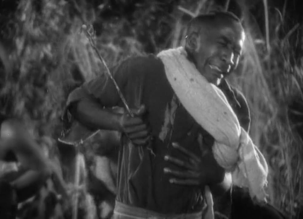 類猿人ターザンの画像