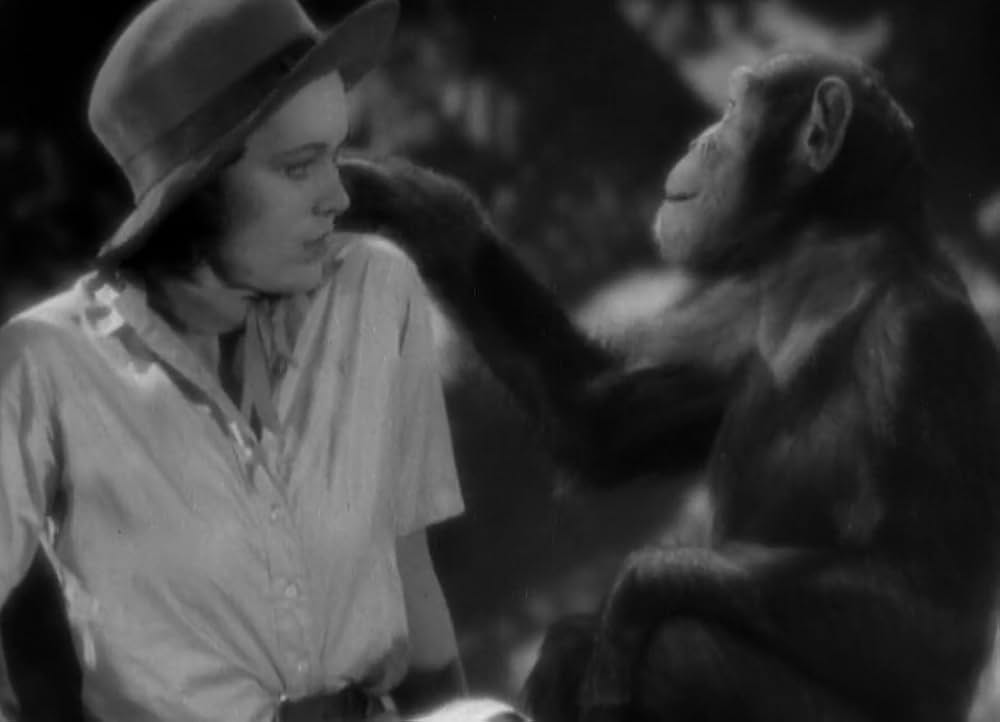 類猿人ターザンの画像