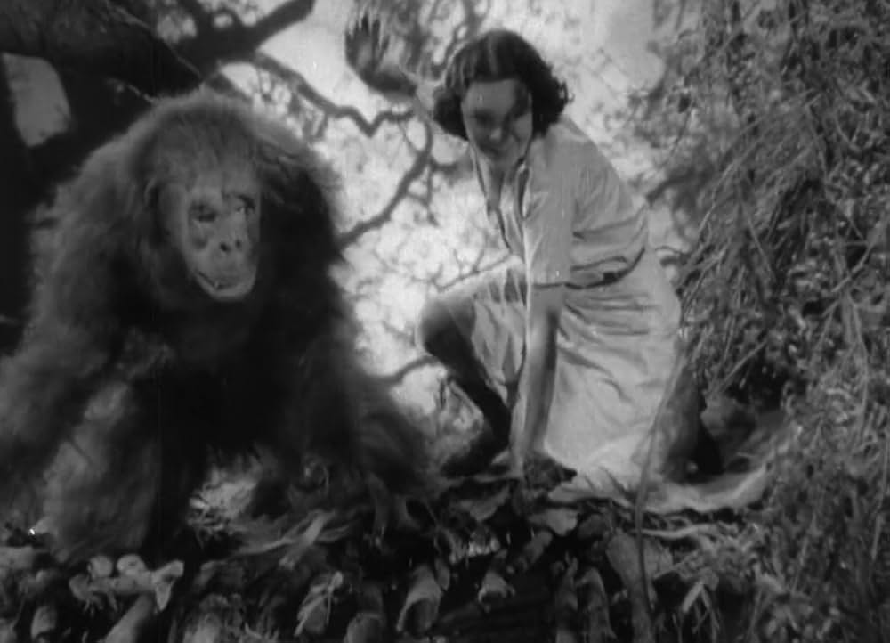 類猿人ターザンの画像