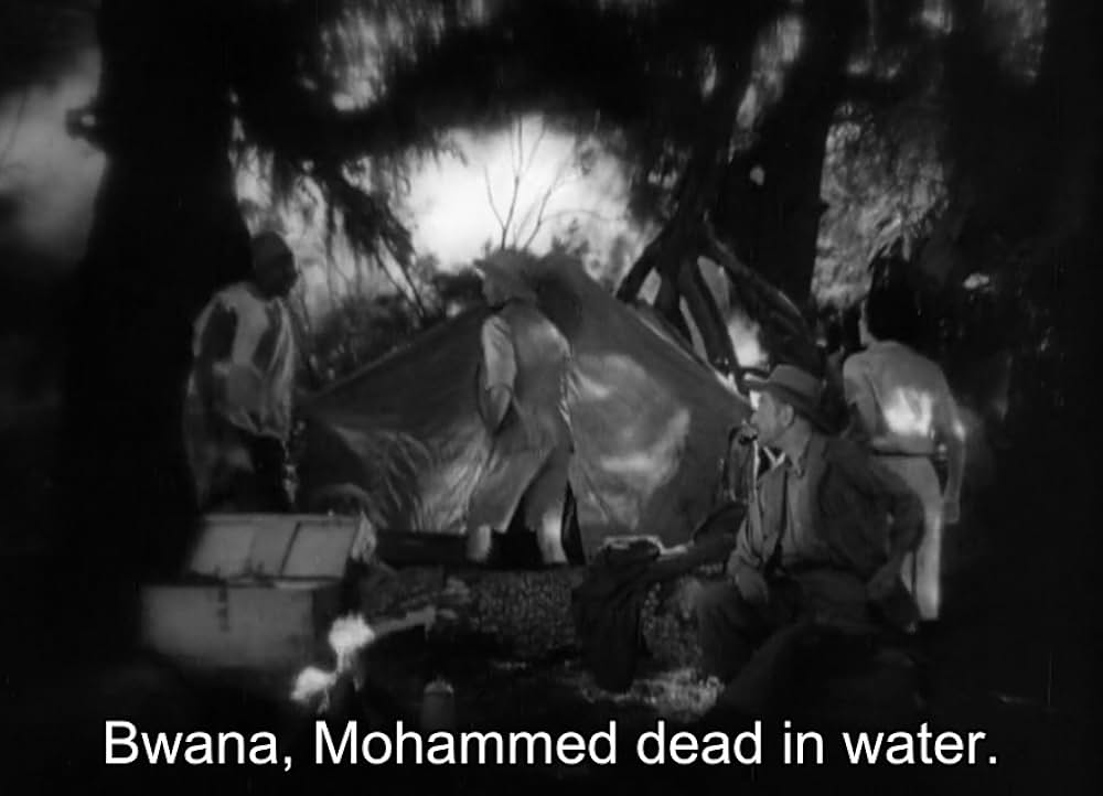 類猿人ターザンの画像