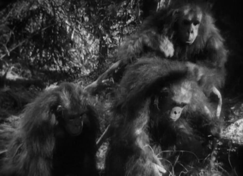 類猿人ターザンの画像