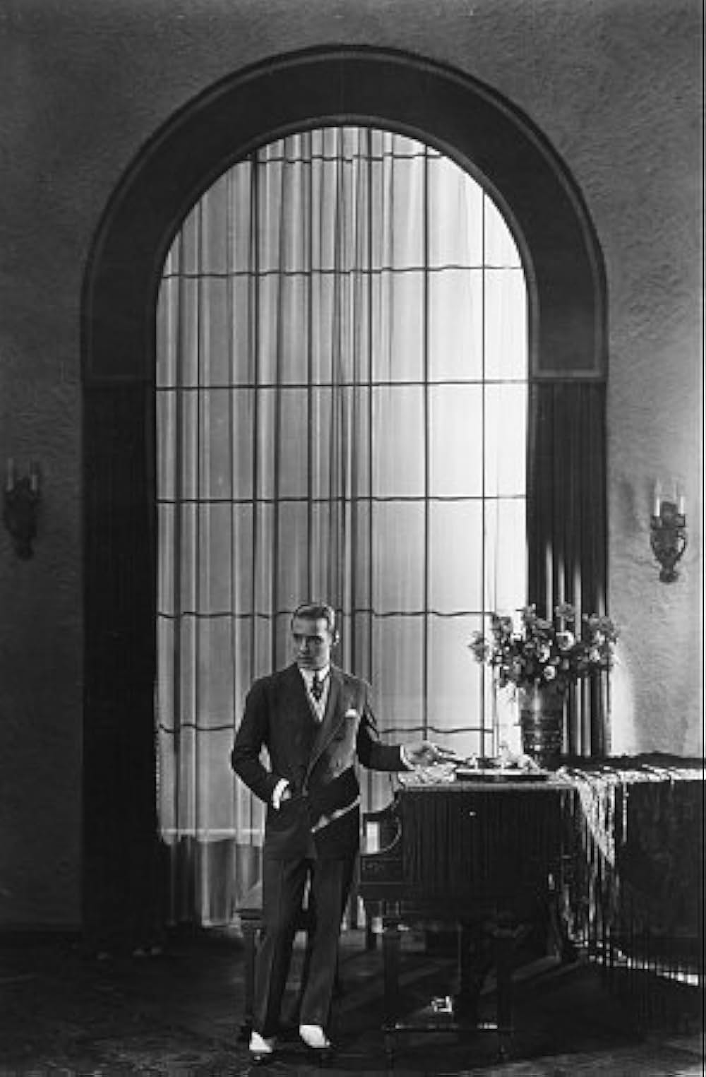 コブラ（毒蛇）の画像