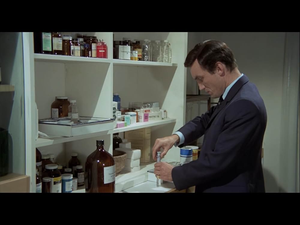 血臭の森の画像