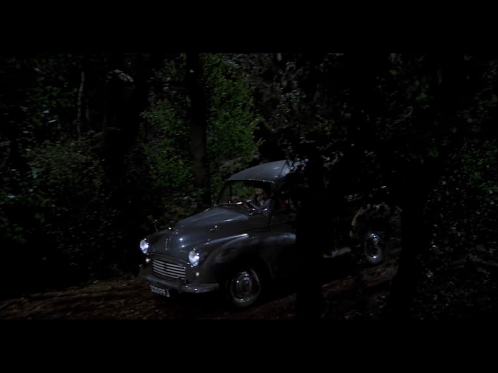 血臭の森の画像