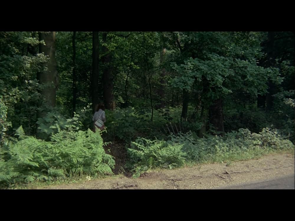 血臭の森の画像