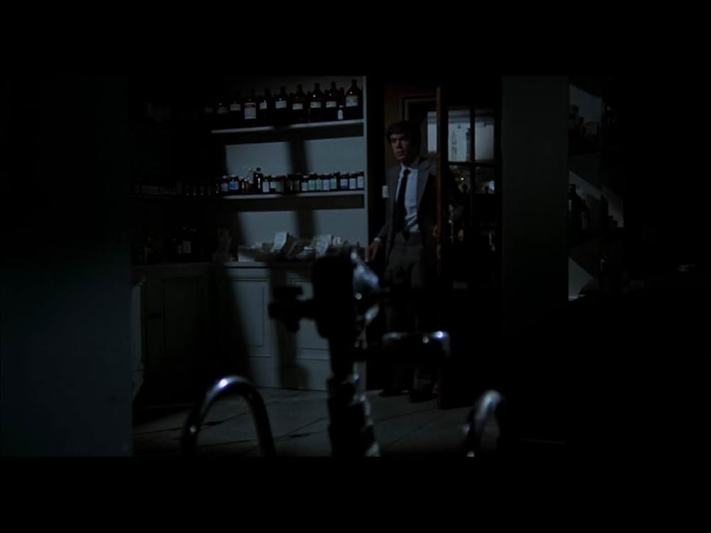 血臭の森の画像