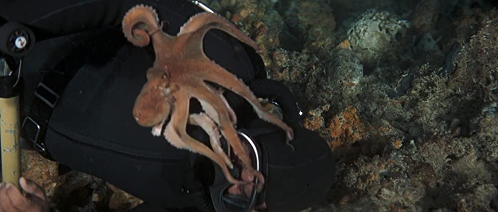 007／サンダーボール作戦の画像