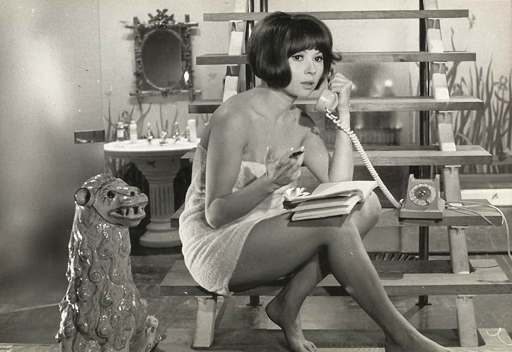 パリ大捜査網の画像