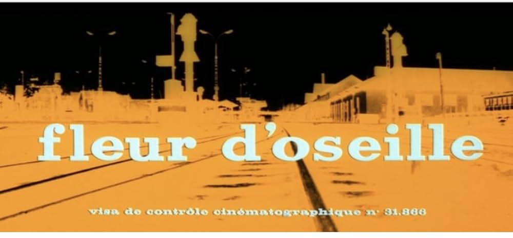 牝猫と現金（げんなま）の画像