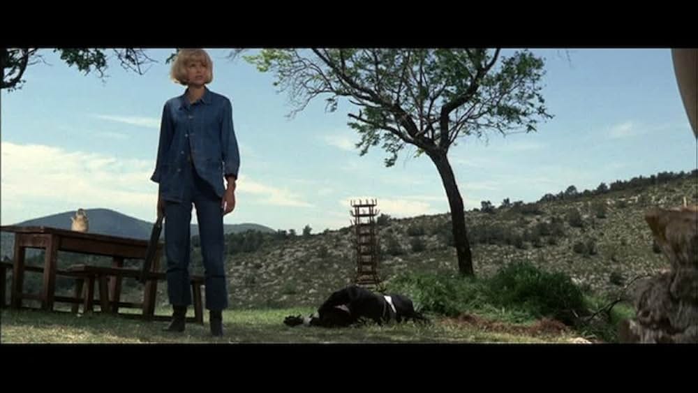 牝猫と現金（げんなま）の画像