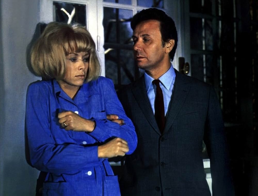 牝猫と現金（げんなま）の写真