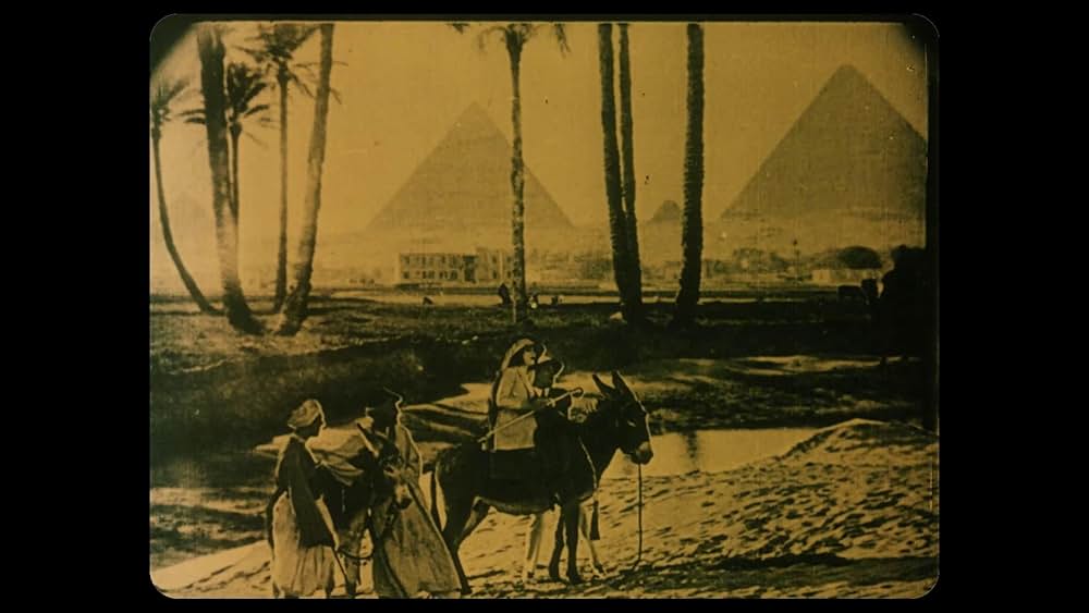 ベラ・ドンナの画像