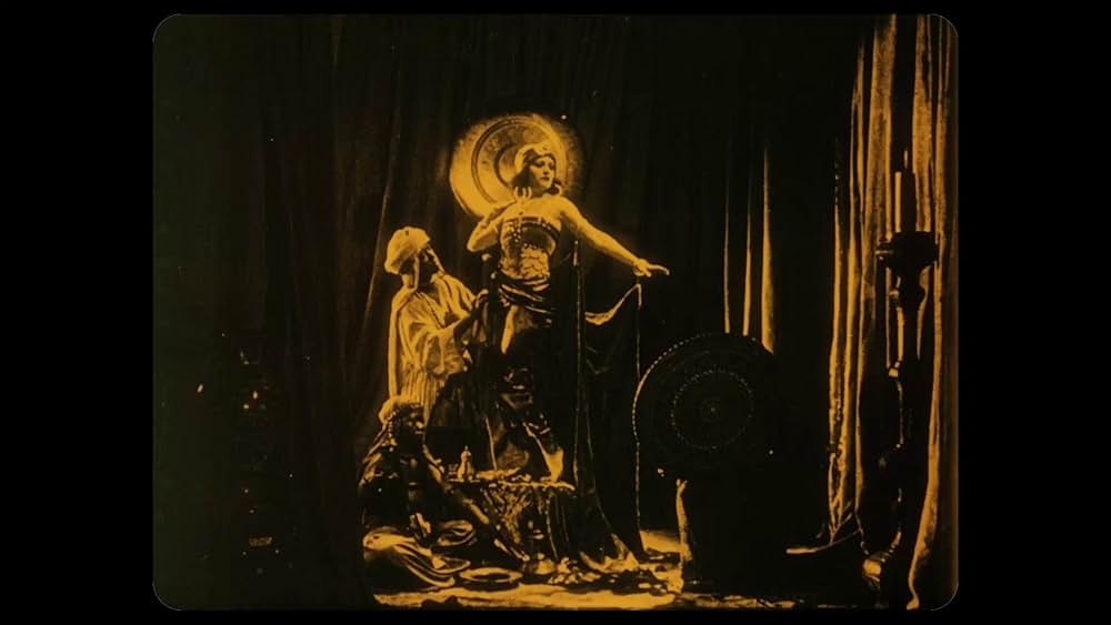 ベラ・ドンナの画像