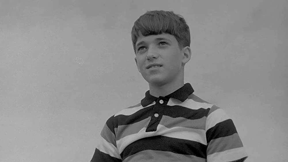 いのちの紐の画像